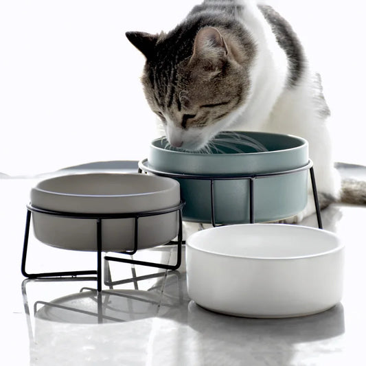 Double Cat Food Water Ceramic Bowls with Stand